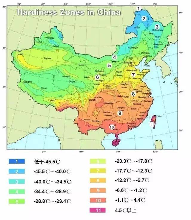 广东省的气候特点与适宜种植的作物种类