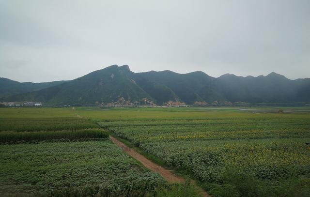 赤峰至广东省的火车之旅，穿越千里的旅程