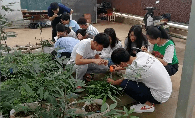 广东省园林专业自主招生，探索与实践