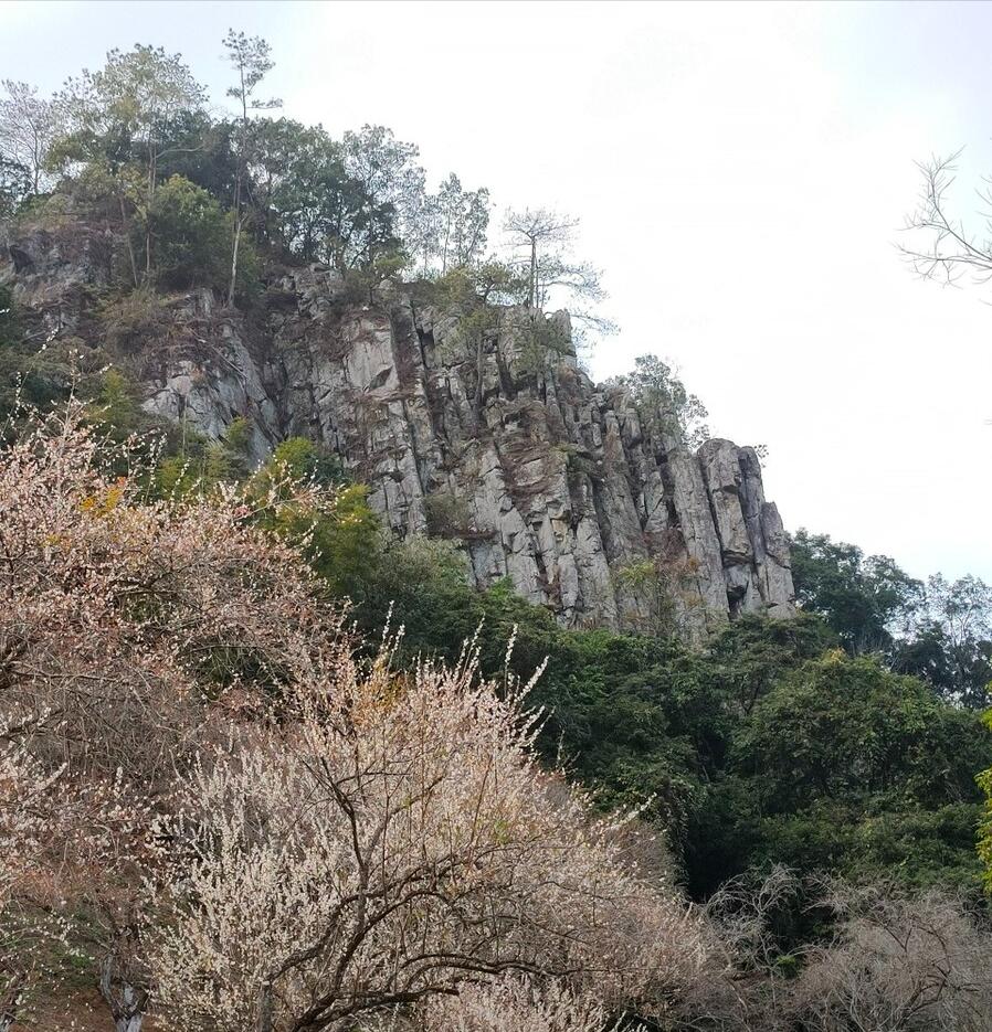 广东省景区地图，探索南国风光的不二之选