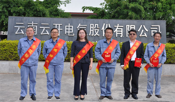 广东云浮电气有限公司，探索电气领域的卓越之路