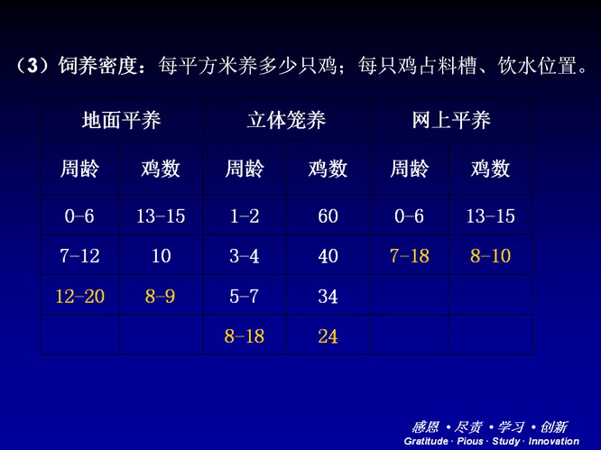 鸡的出栏时间与养殖管理研究